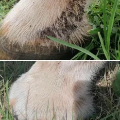 Cura Naturale - Baume solaire SPF50+ Sale