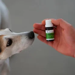 Cura Naturale - Complément alimentaire pour chiens et chats douleur ovarienne New