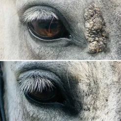 Cura Naturale - Huile excroissance cutanée Outlet