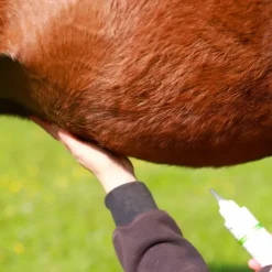 Cura Naturale - Huile répulsive anti-parasites Discount