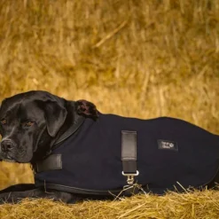 Diego & Louna - Couverture pour chien polaire Teddy 280g Noir Discount