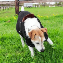 Diego & Louna - Couverture pour chien polaire Teddy 280g Noir Discount