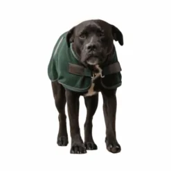 Hot Diego & Louna - Couure pour chien polaire 280g Vert