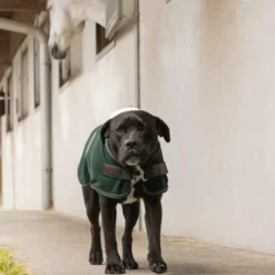 Hot Diego & Louna - Couure pour chien polaire 280g Vert