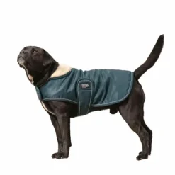 Online Diego & Louna - Couure pour chien nylon 0g Vert