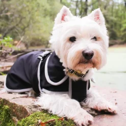 Outlet Diego & Louna - Manteau pour chiens softshell 0g Noir