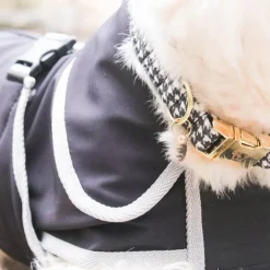 Outlet Diego & Louna - Manteau pour chiens softshell 0g Noir