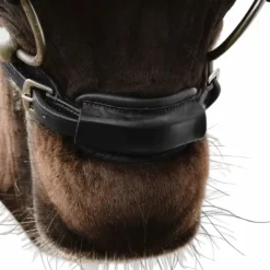 Dyon - Attache de muserolle 1/2 New English Collection Noir Sale