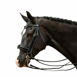 New Dyon - Bride muserolle large vernie Working by Noir