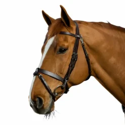 Dyon - Bridon cuir plat avec mousquetons Working By Noir