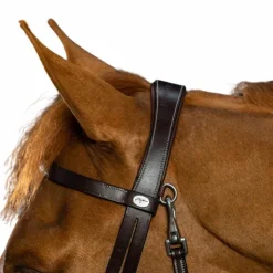 Dyon - Bridon cuir plat avec mousquetons Working By Noir