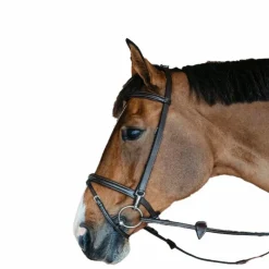 Outlet Dyon - Bridon de travail Working by cuir Havane