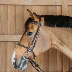 Sale Dyon - Bridon d'entraînement Tressé Working By Dy'on Havane