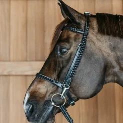 Dyon - Bridon d'entraînement Tressé Working By Dy'on Noir Hot