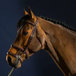 Dyon - Bridon double muserolle D Collection Havane Online