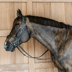 Dyon - Bridon en cuir rond Working By Dy'on têtière anatomique Noir Online