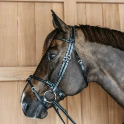 Dyon - Bridon en cuir rond Working By Dy'on têtière anatomique Noir Online