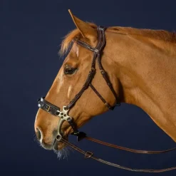 Dyon - Bridon hackamore D Collection Havane Outlet