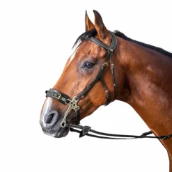 Dyon - Bridon hackamore D Collection Noir