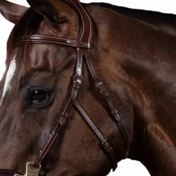Dyon - Bridon hackamore US Collection Havane