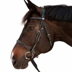 Outlet Dyon - Bridon Hunter Noir