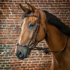 Dyon - Bridon muserolle allemande ajustable D Collection Havane New