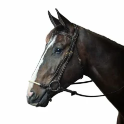 Dyon - Bridon muserolle allemande corde D Collection Noir
