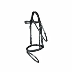 Dyon - Bridon muserolle combinée avec mousqueton Working by Noir