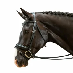 Online Dyon - Bridon muserolle combinée large Working by Noir