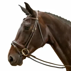 Dyon - Bridon muserolle combinée large Working by Havane Best