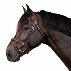 Dyon - Bridon muserolle combinée US Collection Havane Online