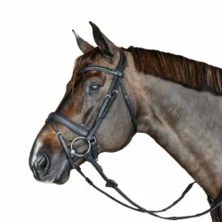 Outlet Dyon - Bridon muserolle combinée large new English tressé pull back cuir Noir