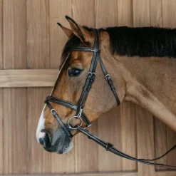 Dyon - Bridon muserolle combinée avec mousquetons Working By Havane