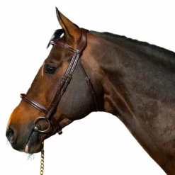 Sale Dyon - Bridon muserolle combinée New English Collection Havane