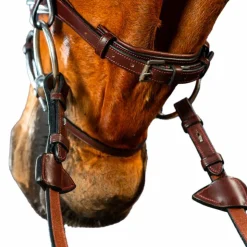 Sale Dyon - Bridon muserolle combinée New English Collection Havane