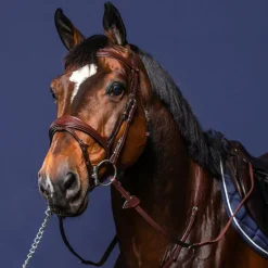 Hot Dyon - Bridon muserolle combinée anatomique New English Collection Havane