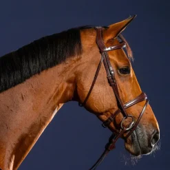 Hot Dyon - Bridon muserolle combinée anatomique New English Collection Havane