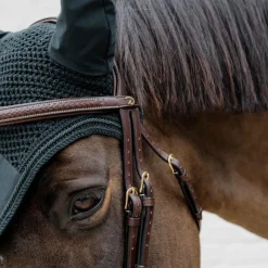 Outlet Dyon - Bridon muserolle combinée Tressé Havane