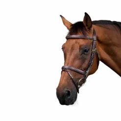 Hot Dyon - Bridon muserolle combinée Dy'on Collection Marron