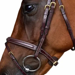 Hot Dyon - Bridon muserolle combinée Dy'on Collection Marron