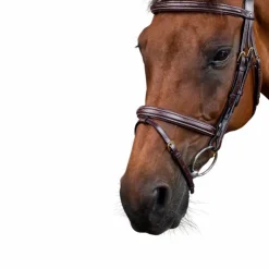 Hot Dyon - Bridon muserolle combinée Dy'on Collection Marron