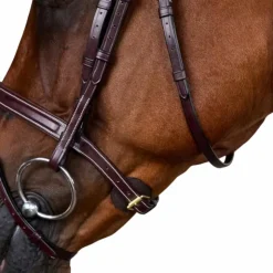 Hot Dyon - Bridon muserolle combinée Dy'on Collection Marron