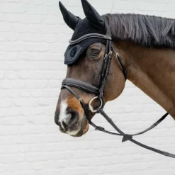 Clearance Dyon - Bridon muserolle combinée Tressé Pull Back Noir