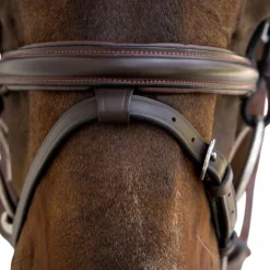 Dyon - Bridon muserolle combinée Flash Marron