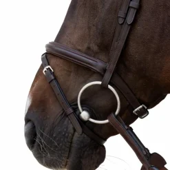 Dyon - Bridon muserolle combinée Flash Marron