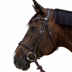 Dyon - Bridon muserolle combinée Flash Marron