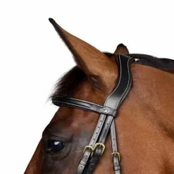 Hot Dyon - Bridon muserolle combinée Dy'on Collection Noir