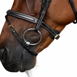 Hot Dyon - Bridon muserolle combinée Dy'on Collection Noir