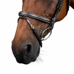 Hot Dyon - Bridon muserolle combinée Dy'on Collection Noir