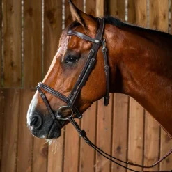 Discount Dyon - Bridon muserolle combinée avec mousqueton Working by Havane